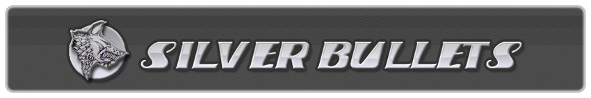 Silver Bullets (2007–2010) — Silver Bullets Banner